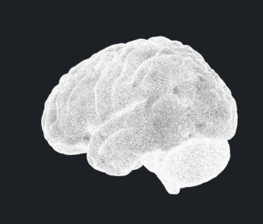 Neuro Services