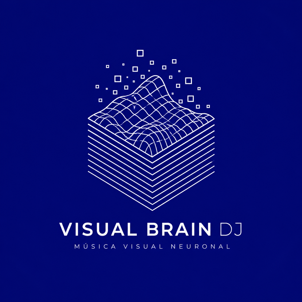 Visual DJ Brian logo